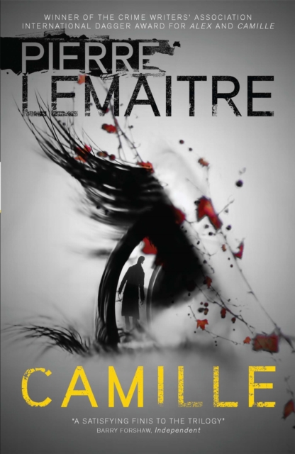 Camille : The Final Paris Crime Files Thriller, Paperback / softback Book