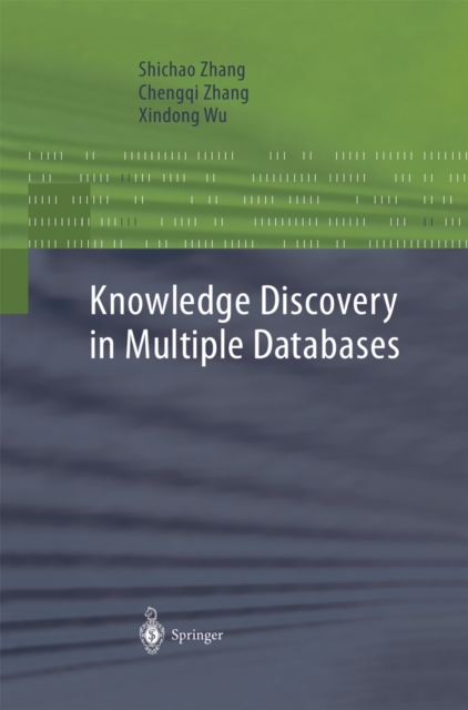 Knowledge Discovery in Multiple Databases, PDF eBook