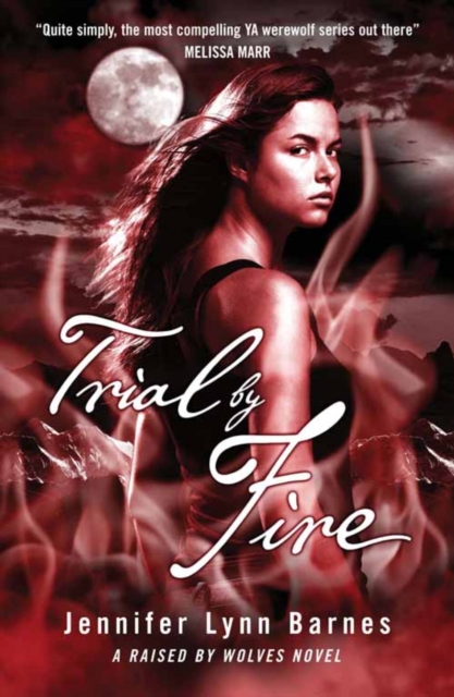 Trial by Fire : Book 2, EPUB eBook