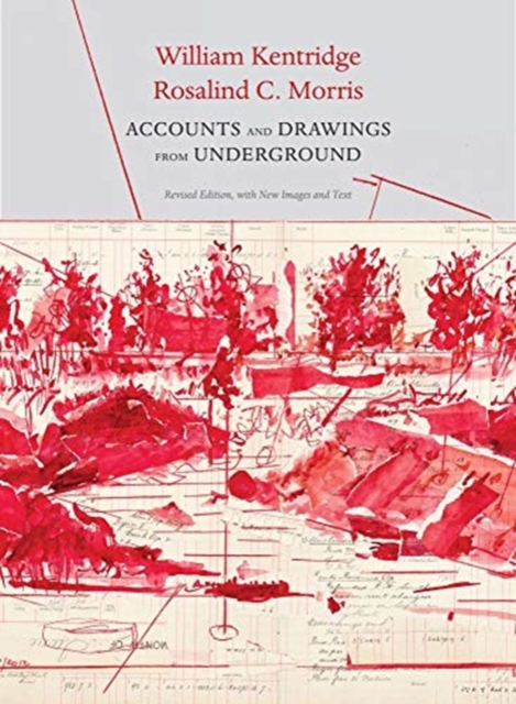 Accounts and Drawings from Underground : The East Rand Proprietary Mines Cash Book, Hardback Book
