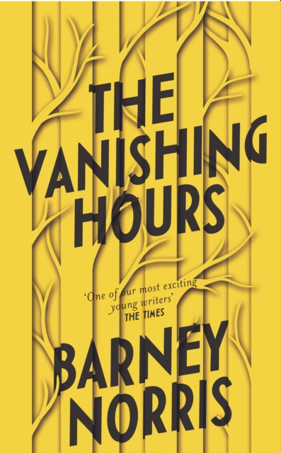 The Vanishing Hours, Hardback Book