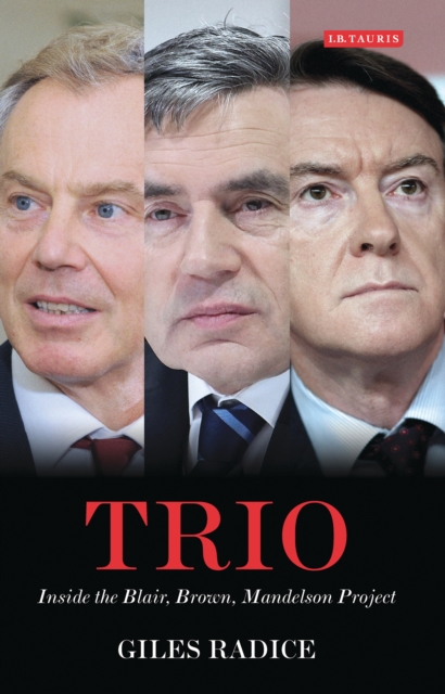 Trio : Inside the Blair, Brown, Mandelson Project, PDF eBook