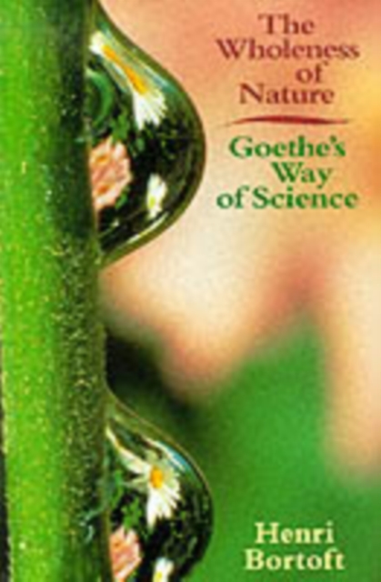 The Wholeness of Nature : Goethe's Way of Science, Paperback / softback Book