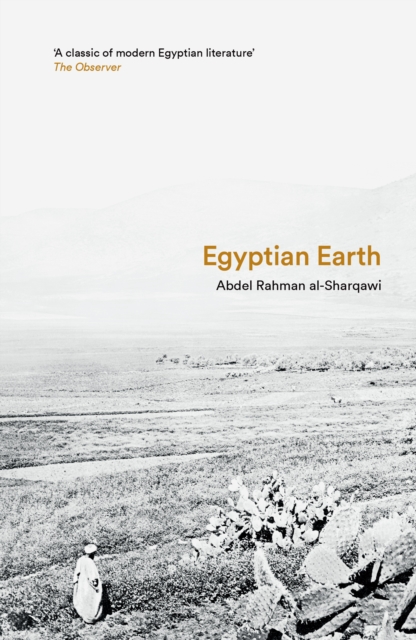 Egyptian Earth, Paperback / softback Book