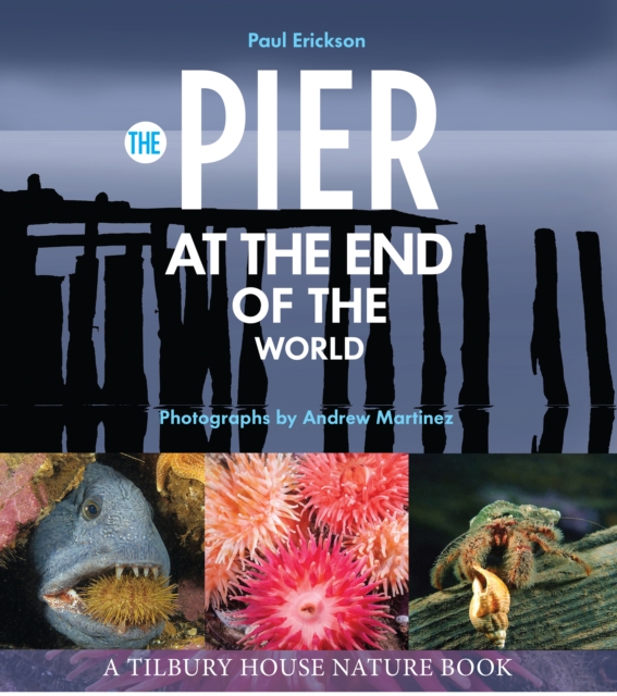 The Pier at the End of the World, EPUB eBook