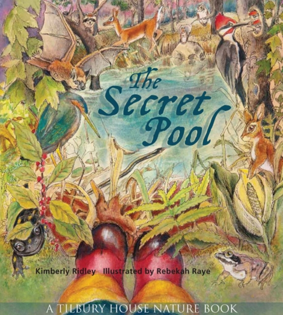 The Secret Pool, Paperback / softback Book