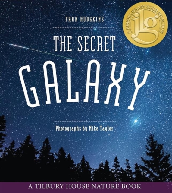 The Secret Galaxy, Paperback / softback Book