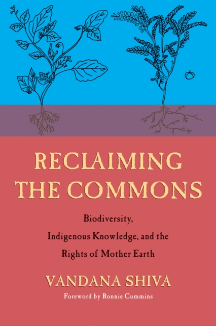 Reclaiming the Commons : Biodiversity, Traditional Knowledge, and the Rights of Mother Earth, Paperback / softback Book