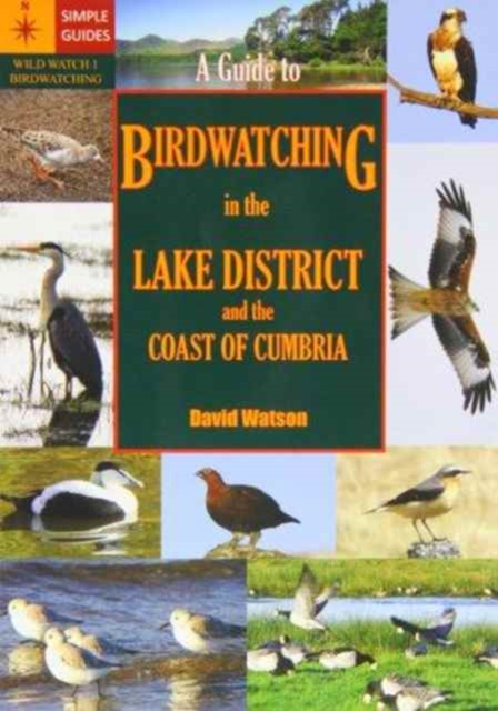 A Guide to Birdwatching in the Lake District and the Coast of Cumbria, Paperback / softback Book