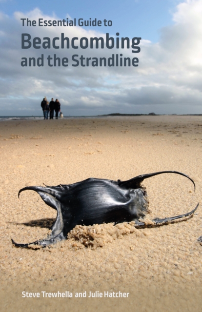 The Essential Guide to Beachcombing and the Strandline, Paperback / softback Book