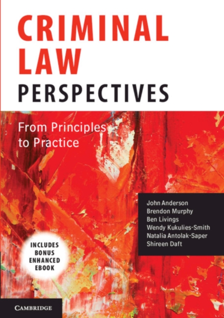 Criminal Law Perspectives : From Principles to Practice, EPUB eBook