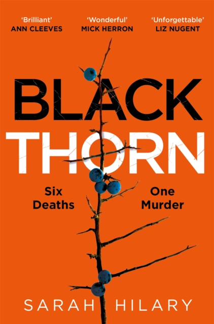 Black Thorn : A slow-burning, multi-layered mystery about families and their secrets and lies, EPUB eBook