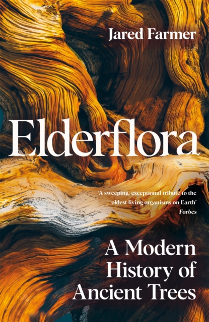 Elderflora : A Modern History of Ancient Trees, Hardback Book