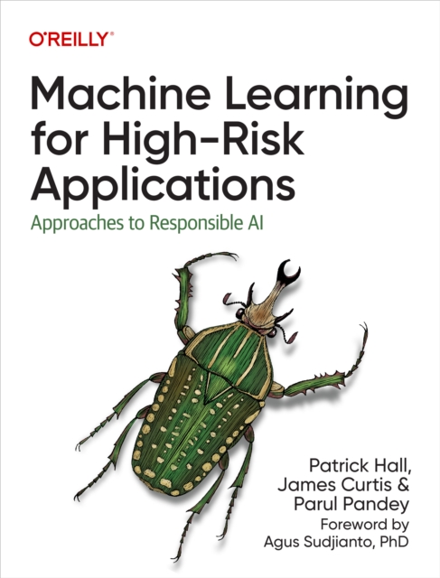 Machine Learning for High-Risk Applications, EPUB eBook