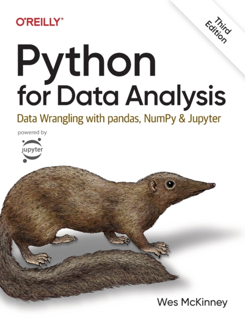 Python for Data Analysis 3e : Data Wrangling with pandas, NumPy, and Jupyter, Paperback / softback Book