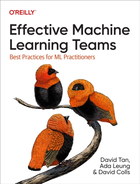 Effective Machine Learning Teams, PDF eBook