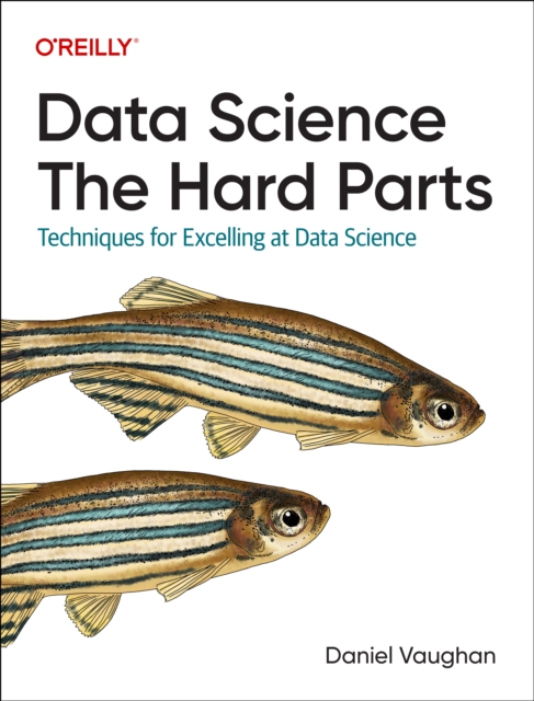 Data Science: The Hard Parts : Techniques for Excelling at Data Science, Paperback / softback Book