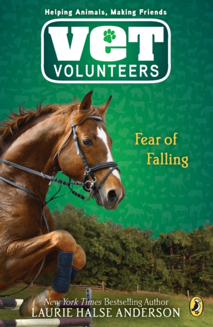 Fear of Falling, EPUB eBook