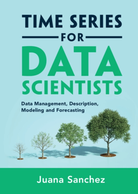 Time Series for Data Scientists : Data Management, Description, Modeling and Forecasting, Hardback Book