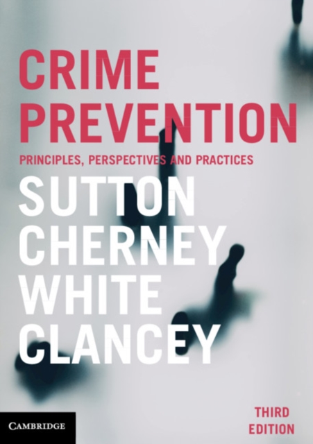 Crime Prevention : Principles, Perspectives and Practices, EPUB eBook