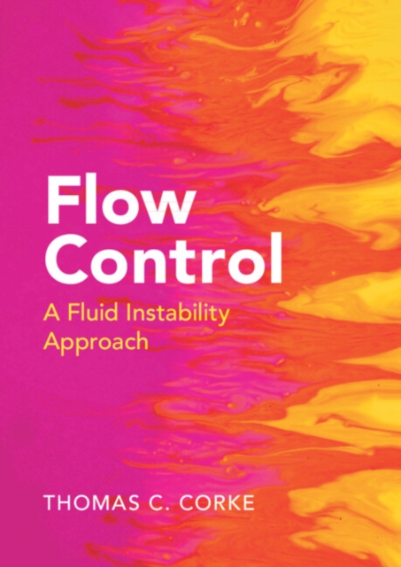 Flow Control : A Fluid Instability Approach, PDF eBook