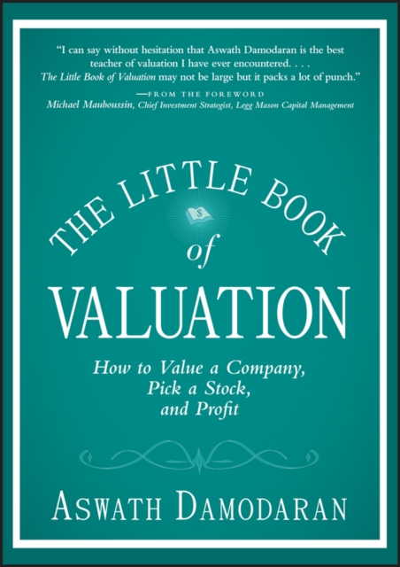 The Little Book of Valuation : How to Value a Company, Pick a Stock and Profit, EPUB eBook