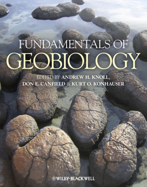 Fundamentals of Geobiology, PDF eBook