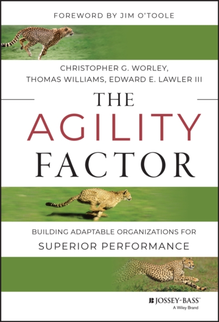 The Agility Factor : Building Adaptable Organizations for Superior Performance, Hardback Book