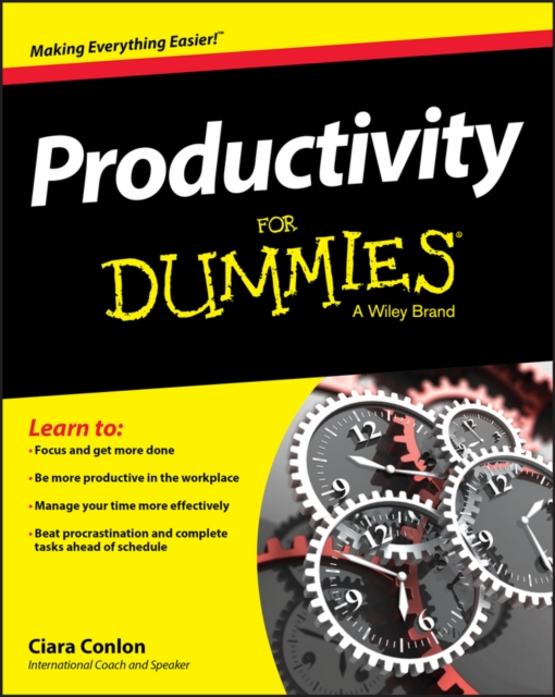 Productivity For Dummies, PDF eBook