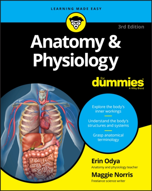 Anatomy & Physiology For Dummies, EPUB eBook