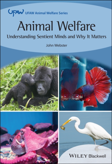 Animal Welfare : Understanding Sentient Minds and Why It Matters, EPUB eBook
