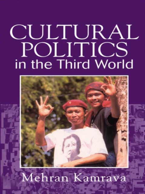 Cultural Politics in the Third World, PDF eBook