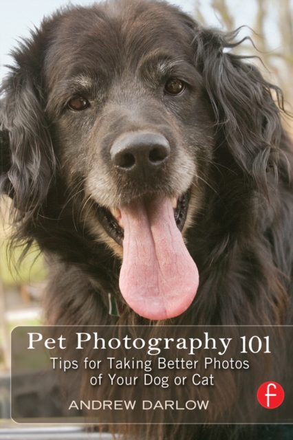 Pet Photography 101 : Tips for taking better photos of your dog or cat, EPUB eBook