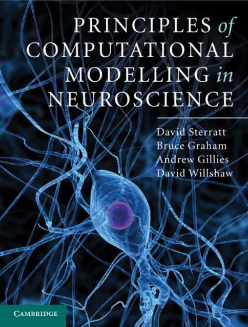 Principles of Computational Modelling in Neuroscience, PDF eBook
