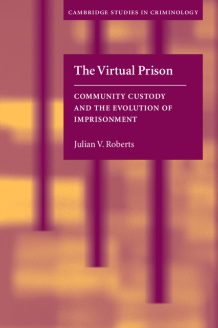 Virtual Prison : Community Custody and the Evolution of Imprisonment, EPUB eBook