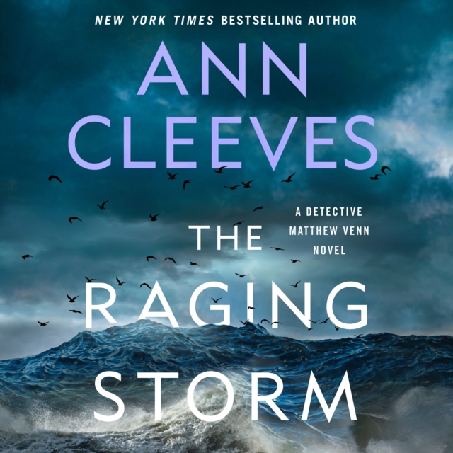 The Raging Storm : A Detective Matthew Venn Novel, eAudiobook MP3 eaudioBook