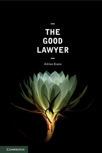 Good Lawyer : A Student Guide to Law and Ethics, PDF eBook