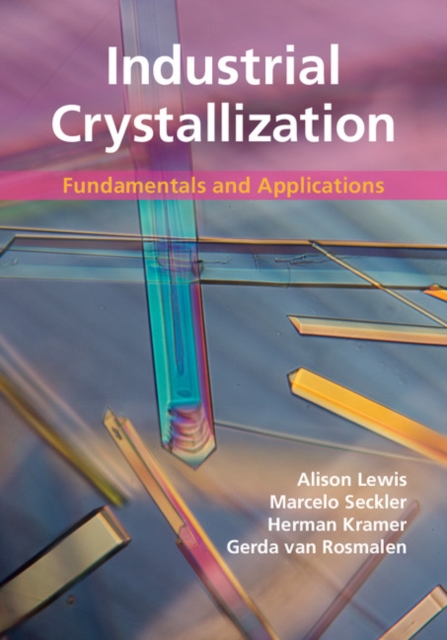 Industrial Crystallization : Fundamentals and Applications, EPUB eBook