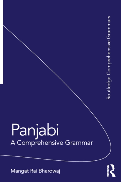 Panjabi : A Comprehensive Grammar, PDF eBook
