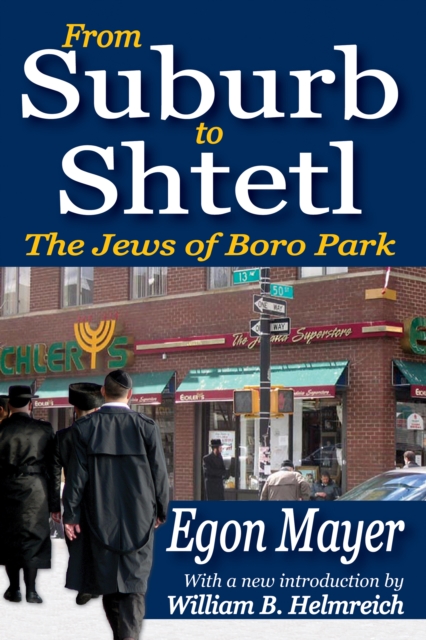 From Suburb to Shtetl : The Jews of Boro Park, EPUB eBook