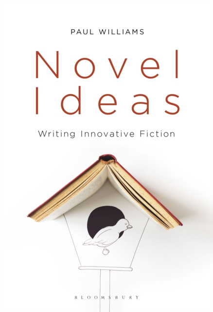 Novel Ideas : Writing Innovative Fiction, PDF eBook