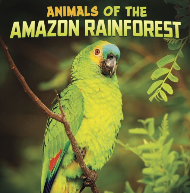 Animals of the Amazon Rainforest, Paperback / softback Book