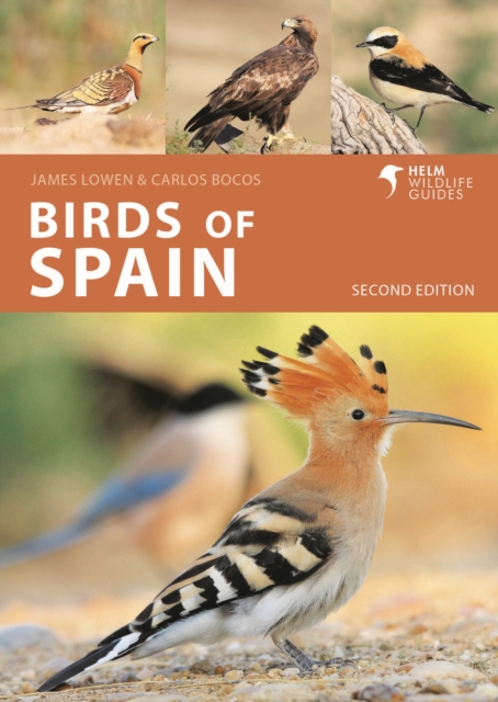 Birds of Spain, Paperback / softback Book