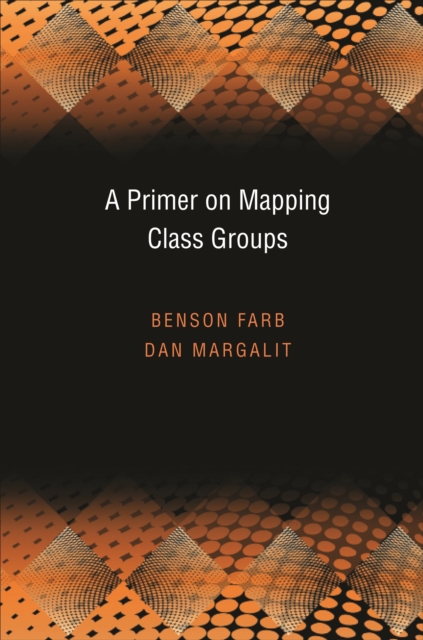 A Primer on Mapping Class Groups (PMS-49), EPUB eBook
