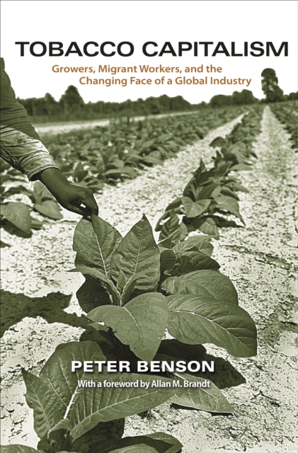 Tobacco Capitalism : Growers, Migrant Workers, and the Changing Face of a Global Industry, EPUB eBook