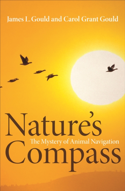 Nature's Compass : The Mystery of Animal Navigation, EPUB eBook