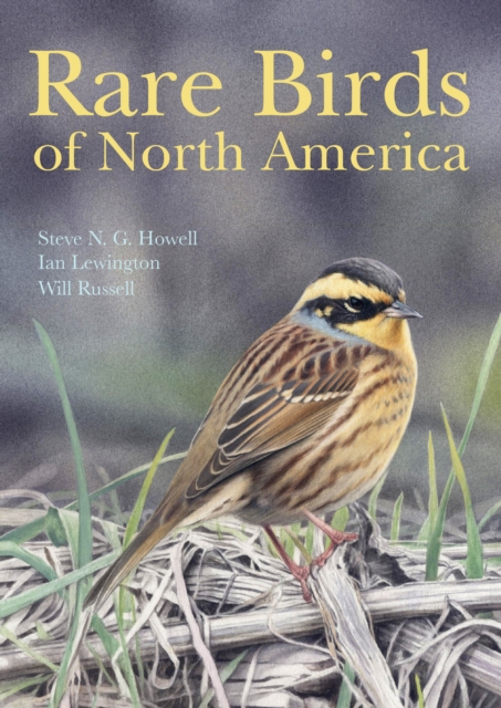 Rare Birds of North America, EPUB eBook