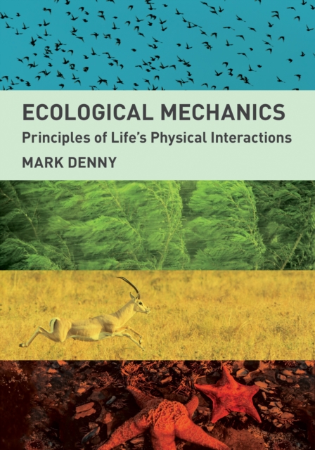 Ecological Mechanics : Principles of Life's Physical Interactions, PDF eBook