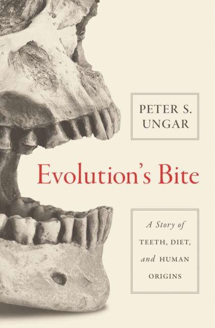 Evolution's Bite : A Story of Teeth, Diet, and Human Origins, EPUB eBook