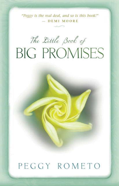 Little Book of Big Promises, EPUB eBook